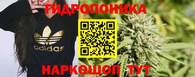 каннабис Кандалакша