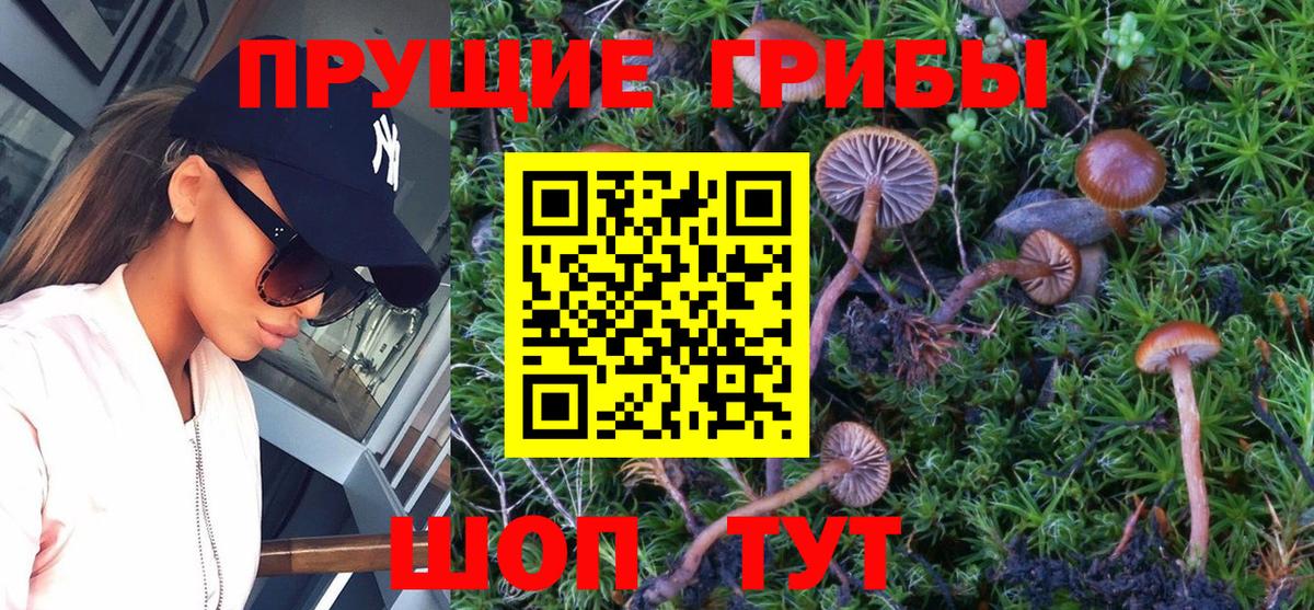 Псилоцибиновые грибы прущие грибы  Вход с VPN  Галлюциногенные грибы GOLDEN TEACHER  Лабинск 