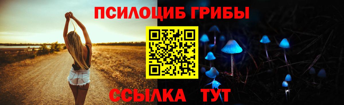 Галлюциногенные грибы прущие грибы Лабинск